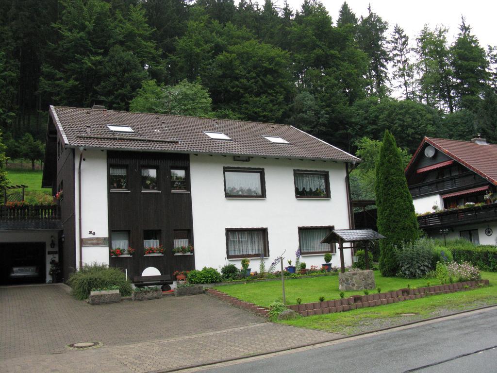 Ferienwohnung Gohlke Kamschlacken Pokój zdjęcie